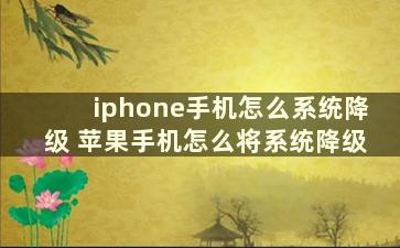 iphone手机怎么系统降级 苹果手机怎么将系统降级